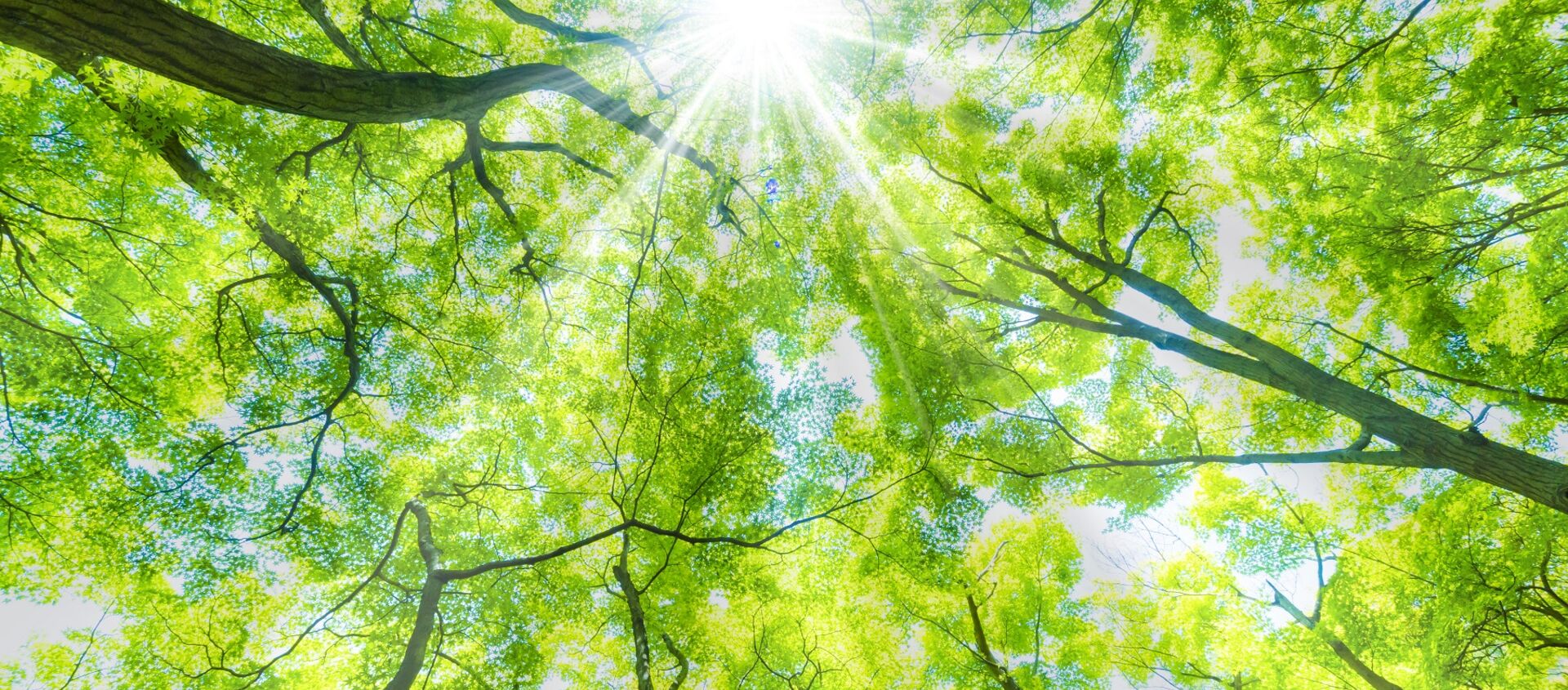 AdobeStock_314695438